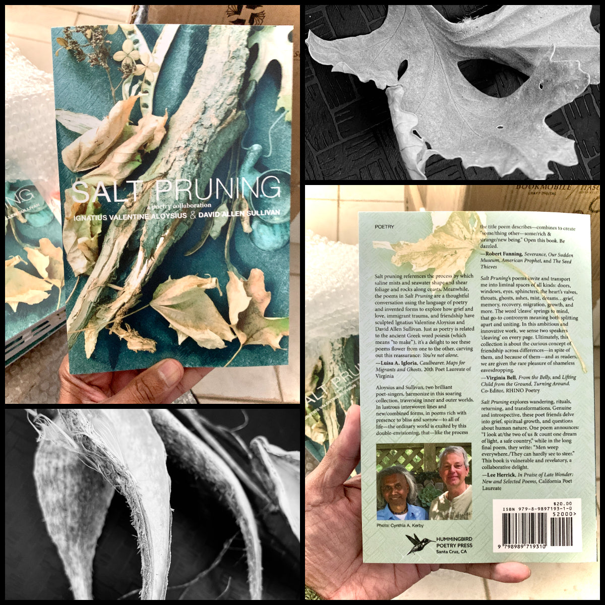 SALT PRUNING ~ Poetry Collection