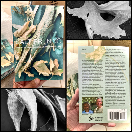 SALT PRUNING ~ Poetry Collection
