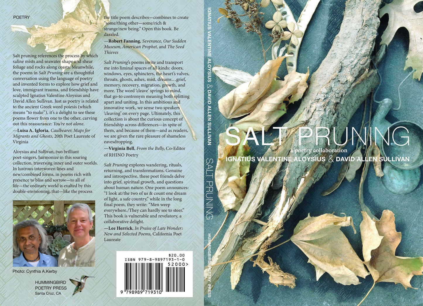 SALT PRUNING ~ Poetry Collection
